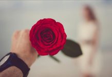 Shkojmë të shohim nëse trëndafili…